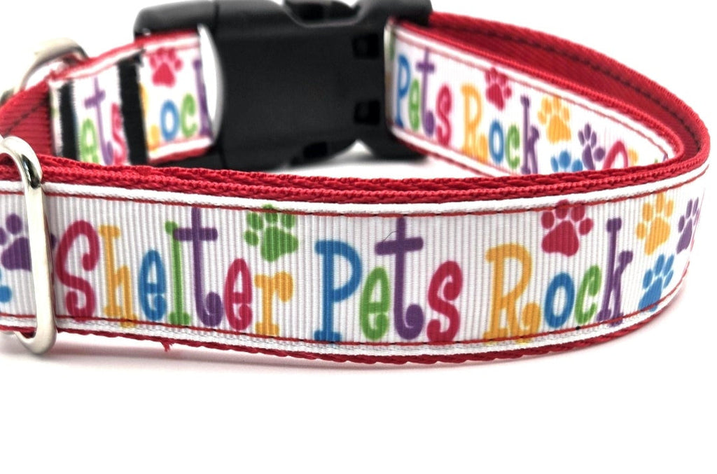 Shelter Pets Rock Dog Collar | 1 Inch Wide | Adjustable 13-22 Inches | Colorful Rescue Pet Gear | Shelter Advocate Gift | Rewarding Rover